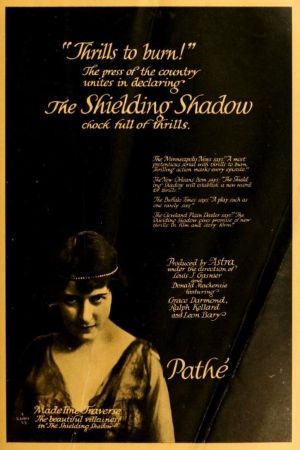 The Shielding Shadow's poster