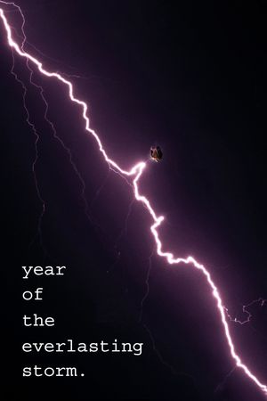 The Year of the Everlasting Storm's poster