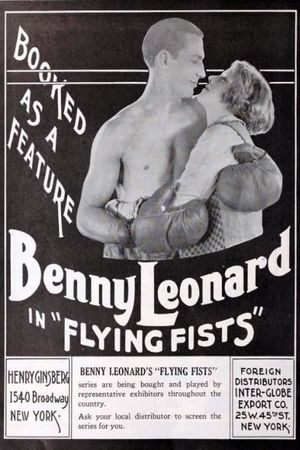 Flying Fists's poster