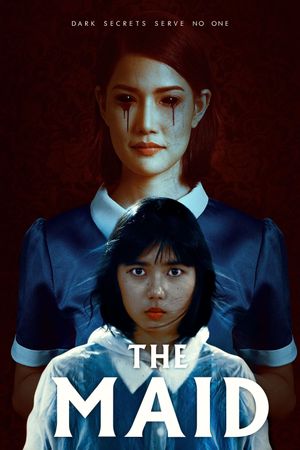 The Maid's poster