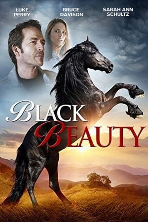 Black Beauty's poster