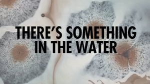 There's Something in the Water's poster