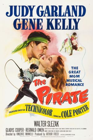 The Pirate's poster