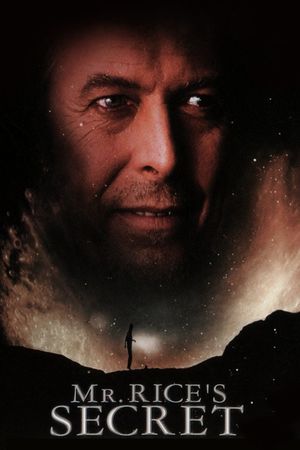 Mr. Rice's Secret's poster