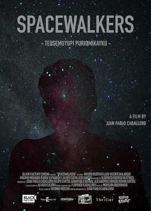 Spacewalkers's poster
