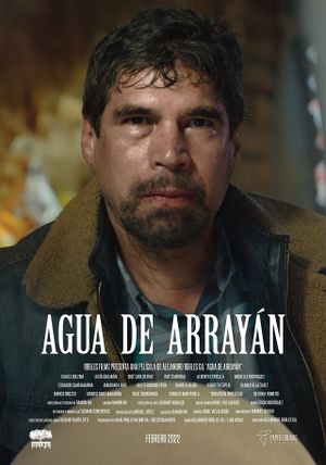 Agua de Arrayan's poster