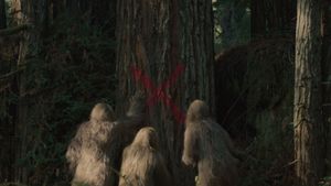 Sasquatch Sunset's poster