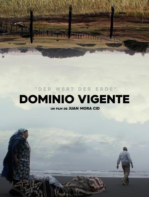 Dominio Vigente's poster