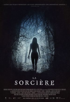 The Witch's poster
