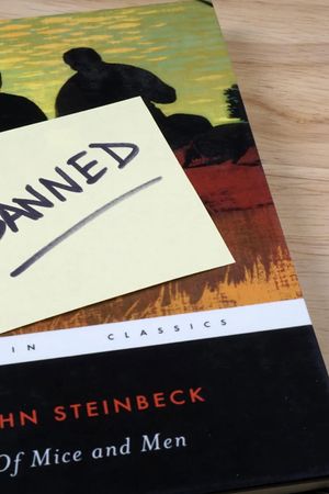 Library Wars: A New Front In America's Cultural Wars's poster