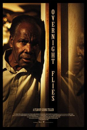 Overnight Flies's poster