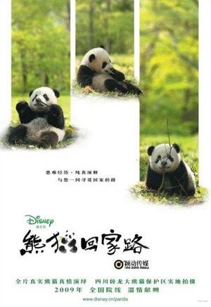 Trail of the Panda's poster