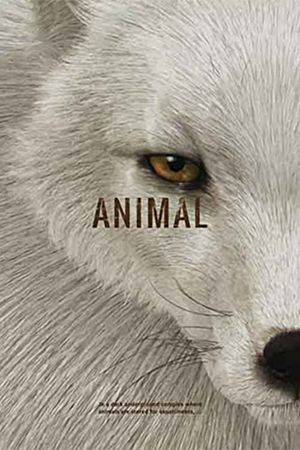 Animal's poster