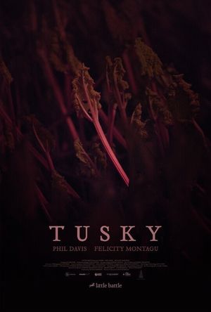 Tusky's poster