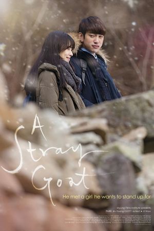 A Stray Goat's poster