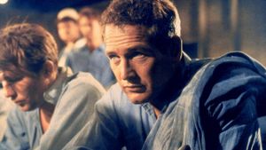 Paul Newman: The Restless's poster