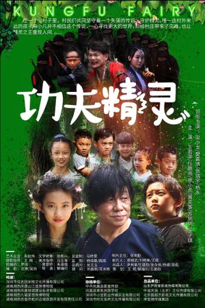 功夫精灵's poster