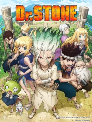 Dr. Stone's poster