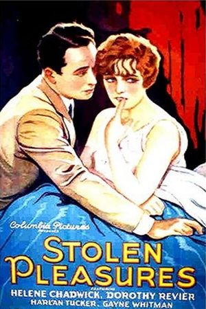 Stolen Pleasures's poster