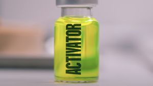 The Substance's poster