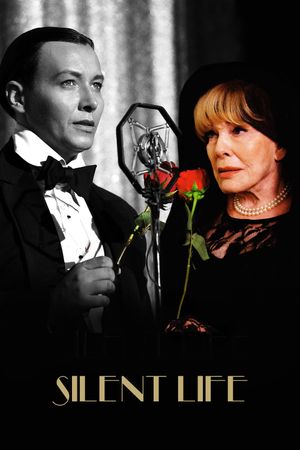 Silent Life: The Story of the Lady in Black's poster
