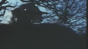 Night Fright's poster