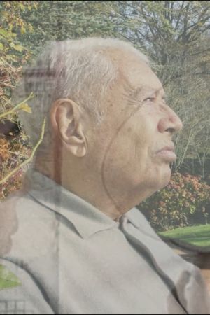 The Light of the Dreams's poster