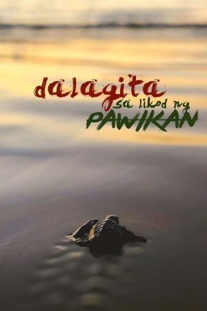 Dalagita sa Likod Pawikan's poster