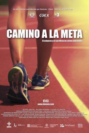 Camino a la meta's poster image