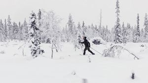 Att bäras av snö's poster