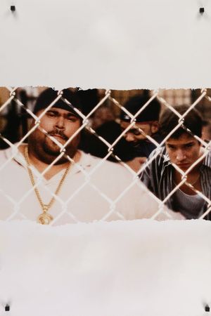 Boricua's Bond's poster