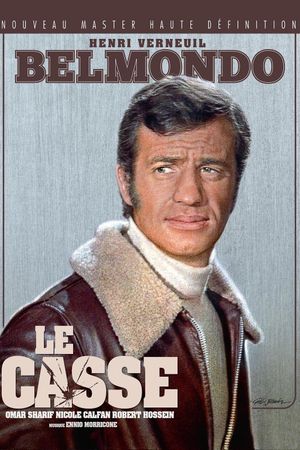 The Burglars's poster