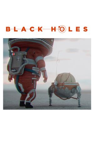 Black Holes's poster