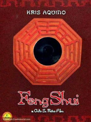 Feng Shui's poster