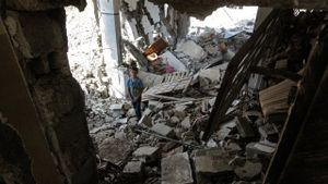 Born in Gaza's poster