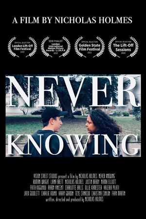 Never Knowing's poster