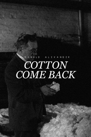 Cotton Come Back's poster