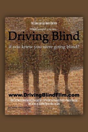 Driving Blind's poster image