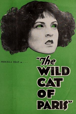The Wildcat of Paris's poster