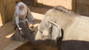 Evan Almighty's poster
