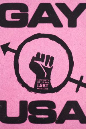 Gay USA's poster