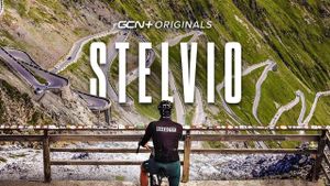 Stelvio's poster