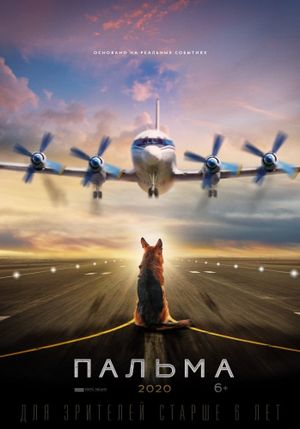 Palma's poster