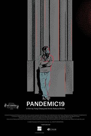 Pandemic19's poster