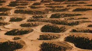 Algeria from Above's poster