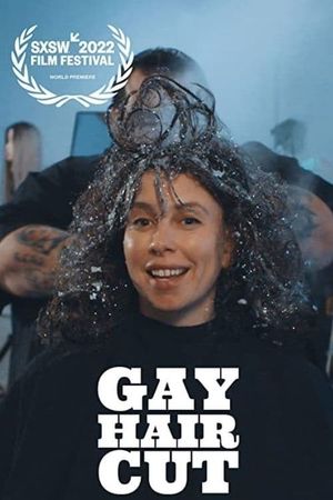 Gay Haircut's poster