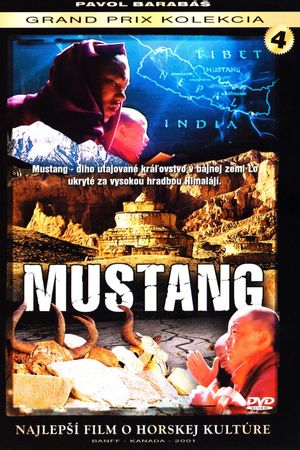 Mustang's poster