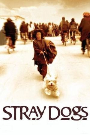 Stray Dogs's poster