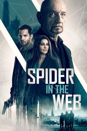 Spider in the Web's poster