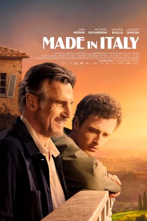 Made in Italy's poster